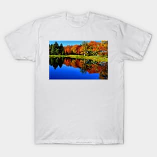 Autumn Foliage at St. James T-Shirt